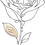 Drac_rosa