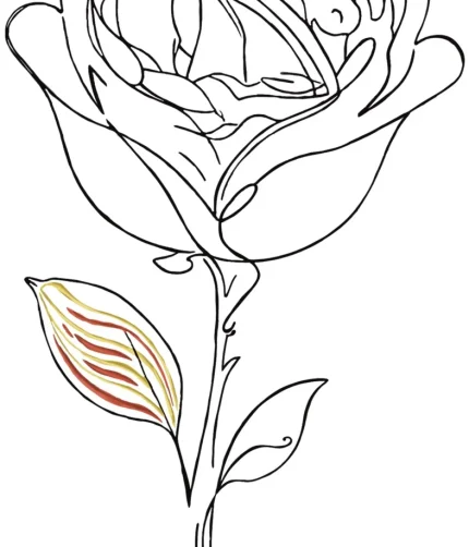 Drac_rosa
